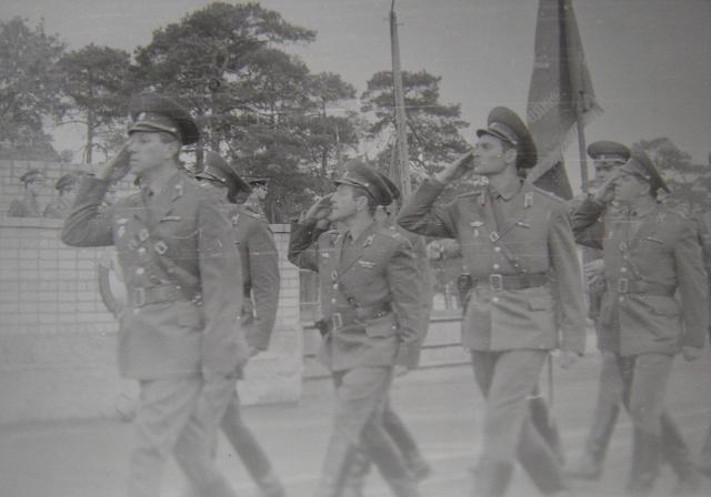 543.JPG