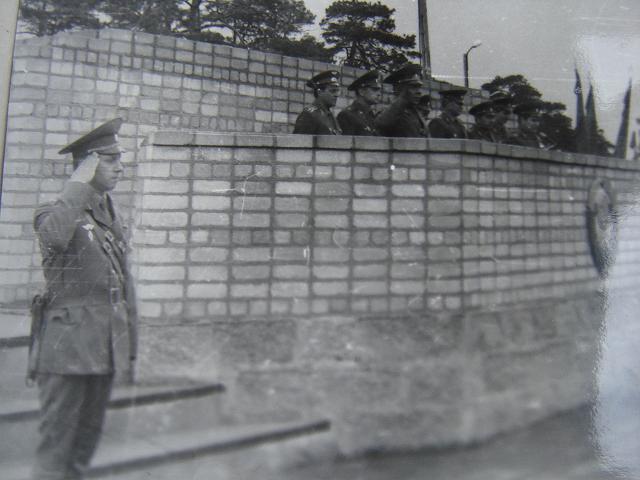 540.JPG